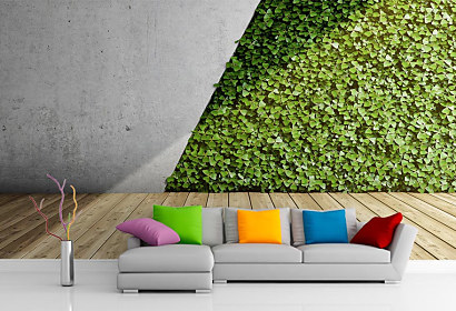 Fototapeta Vertikální zelená zahrada na betonové zdi 2031